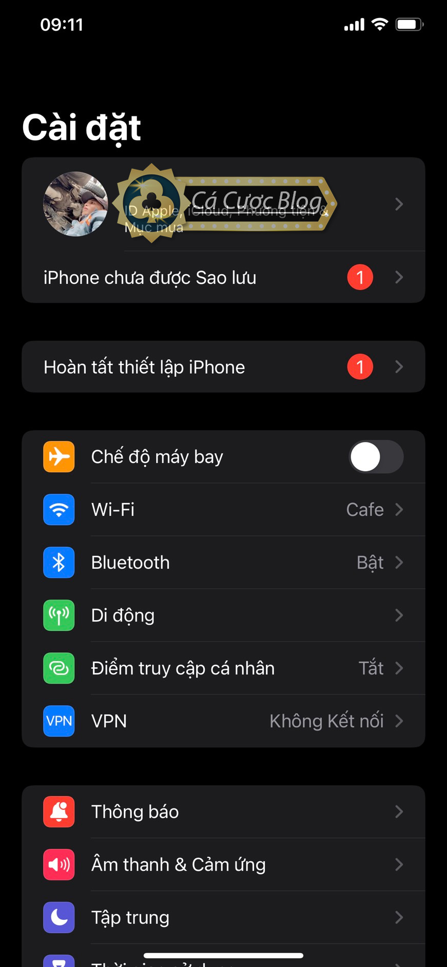 iOS_DNS2